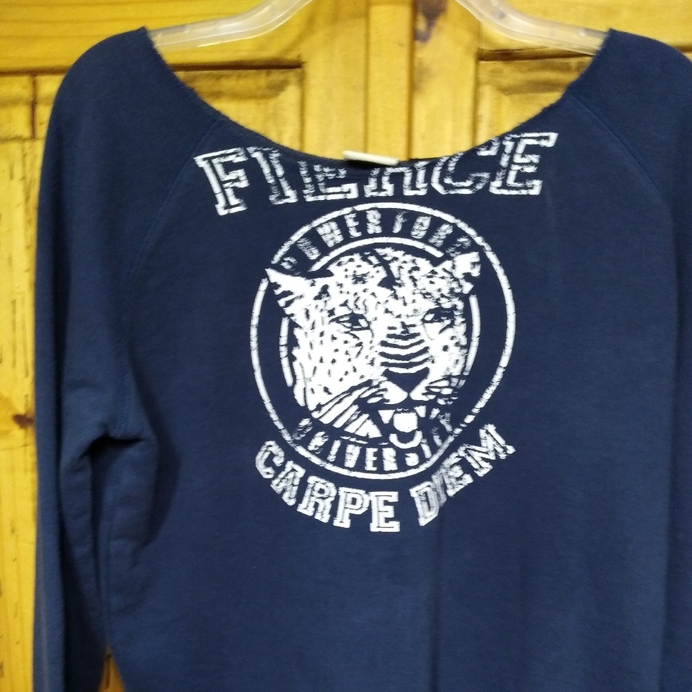 Blue sweatshirt
